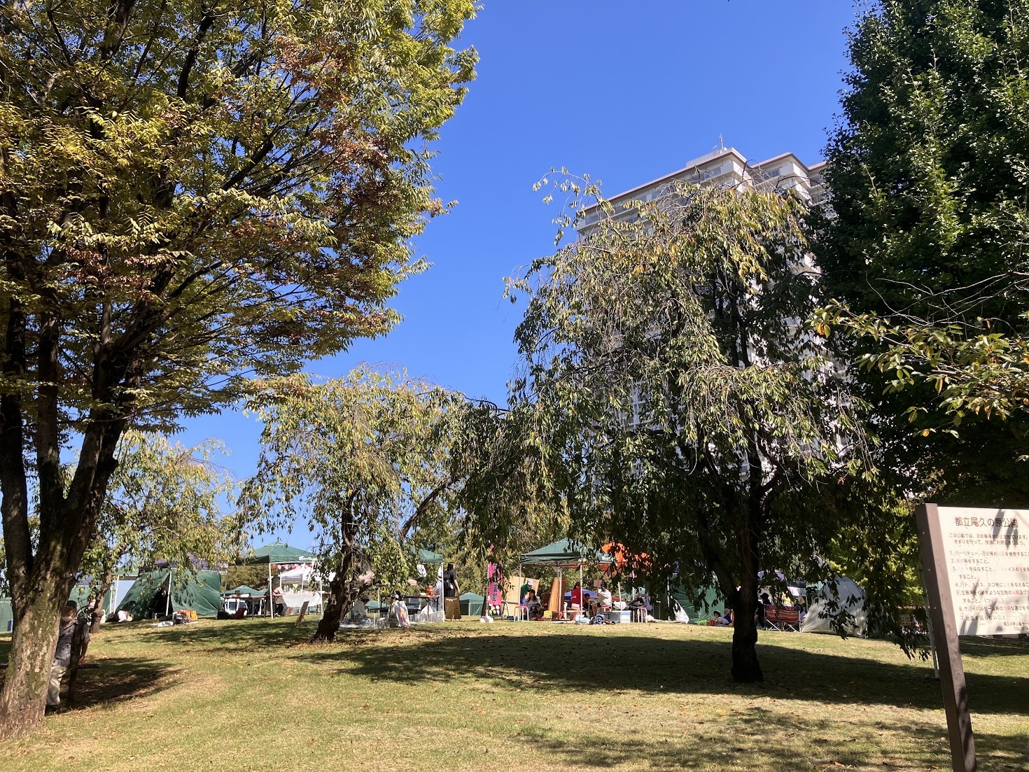 尾久の原公園でテントを広げてくつろぐ来場者たち